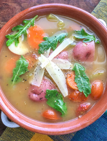 Instant Pot Garden Vegetable Soup